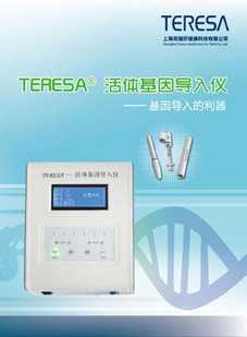 高效技术咨询 从提问到解决的完整指南